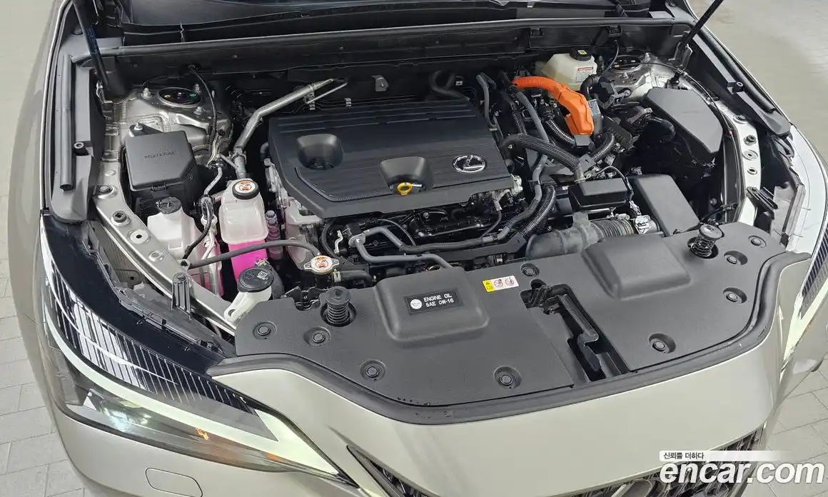 Lexus NX 2024 2.5 гидро в Москве № 766797, фото 6