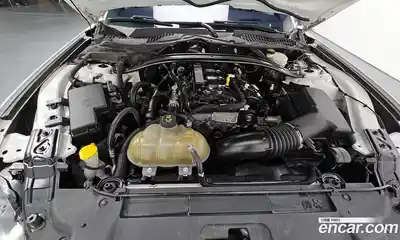 Ford Mustang 2019 2.3 гидро в Москве № 863198, миниатюра 6