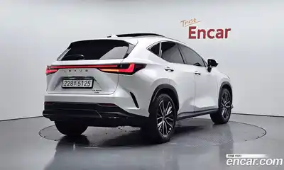 Lexus NX 2024 2.5 гидро в Москве № 168030, миниатюра 2