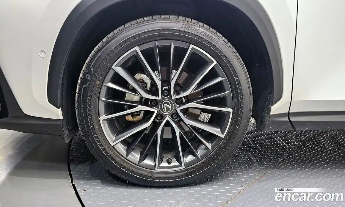 Lexus NX 2024 2.5 гидро в Москве № 168030, фото 5