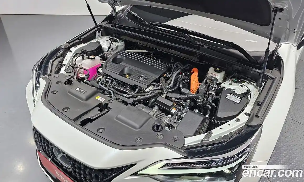 Lexus NX 2024 2.5 гидро в Москве № 168030, фото 6