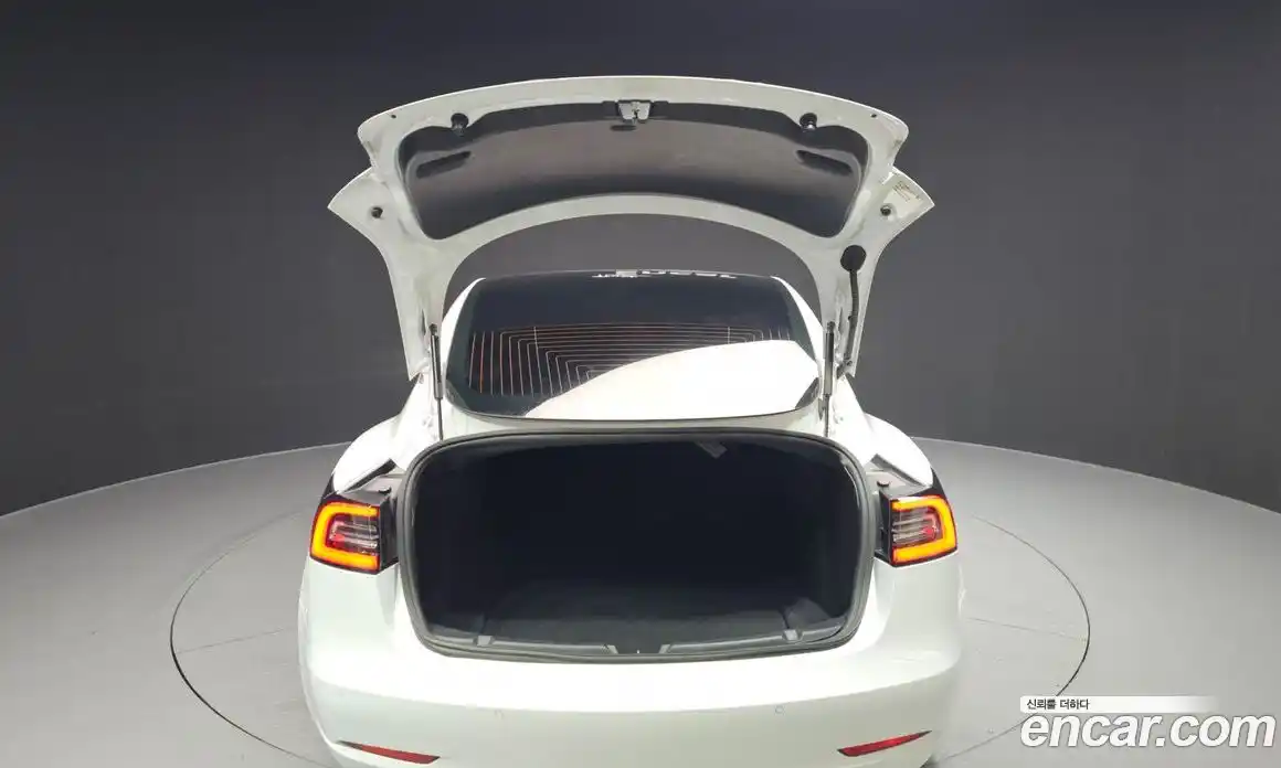 Tesla Model 3 2020 0.1 гидро в Москве № 198531, фото 20