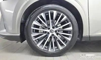 Lexus RX 2025 2.5 гидро в Москве № 198756, миниатюра 5