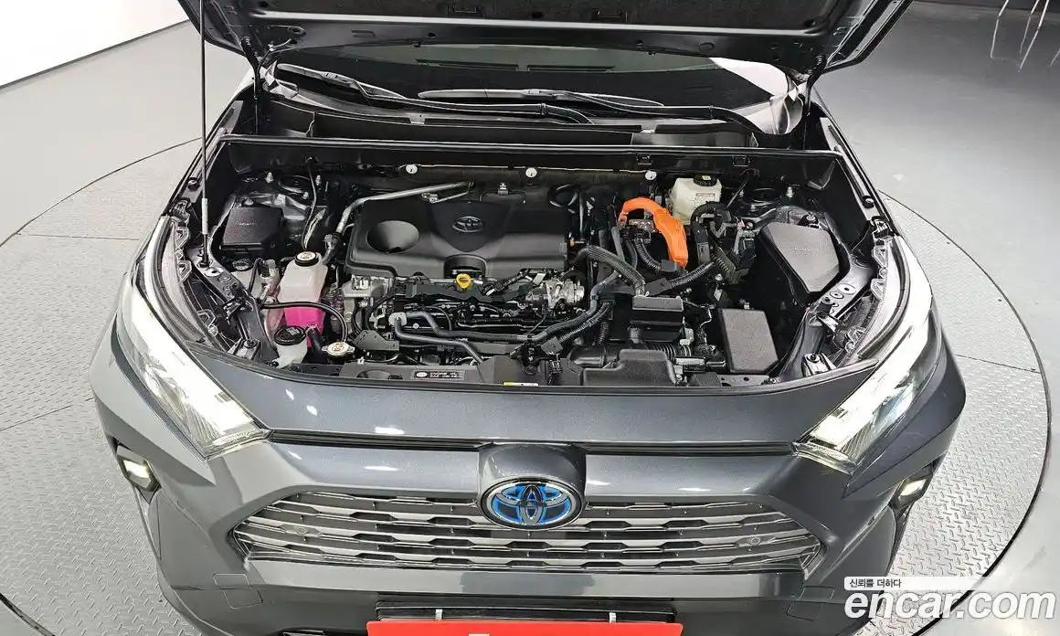 Toyota RAV4 2023 2.5 гидро в Москве № 199532, фото 6