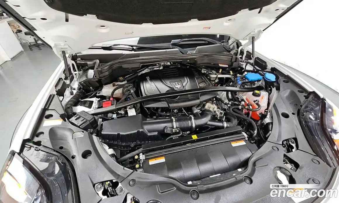 Maserati Grecale 2023 2.0 гидро в Москве № 282714, фото 6