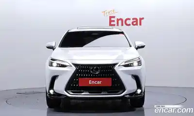 Lexus NX 2024 2.5 гидро в Москве № 895739, миниатюра 3