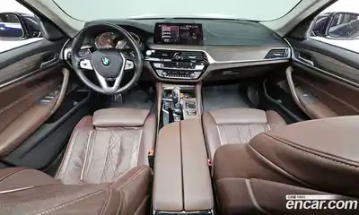 BMW 5-Series 2020 2.0 гидро, миниатюра 7