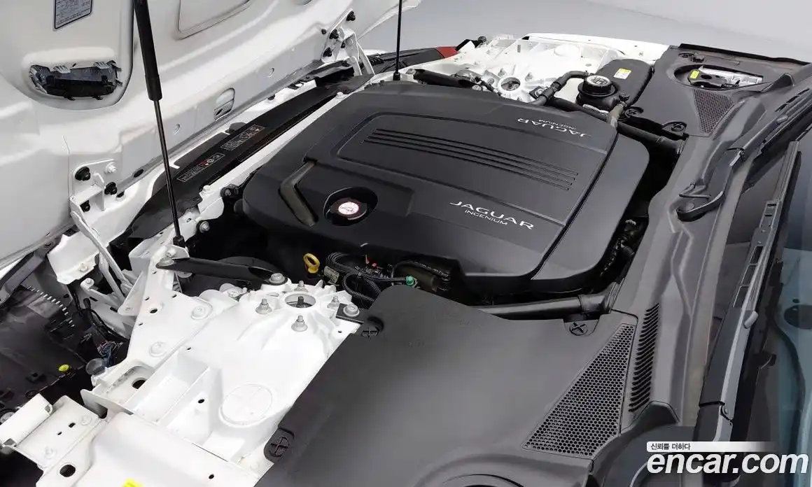 Jaguar F-Type 2022 2.0 гидро в Москве № 897265, фото 6