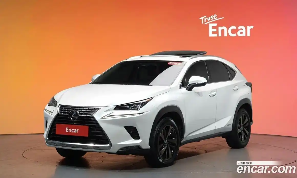 Lexus NX 2019 2.5 гидро в Москве № 975839, фото 20