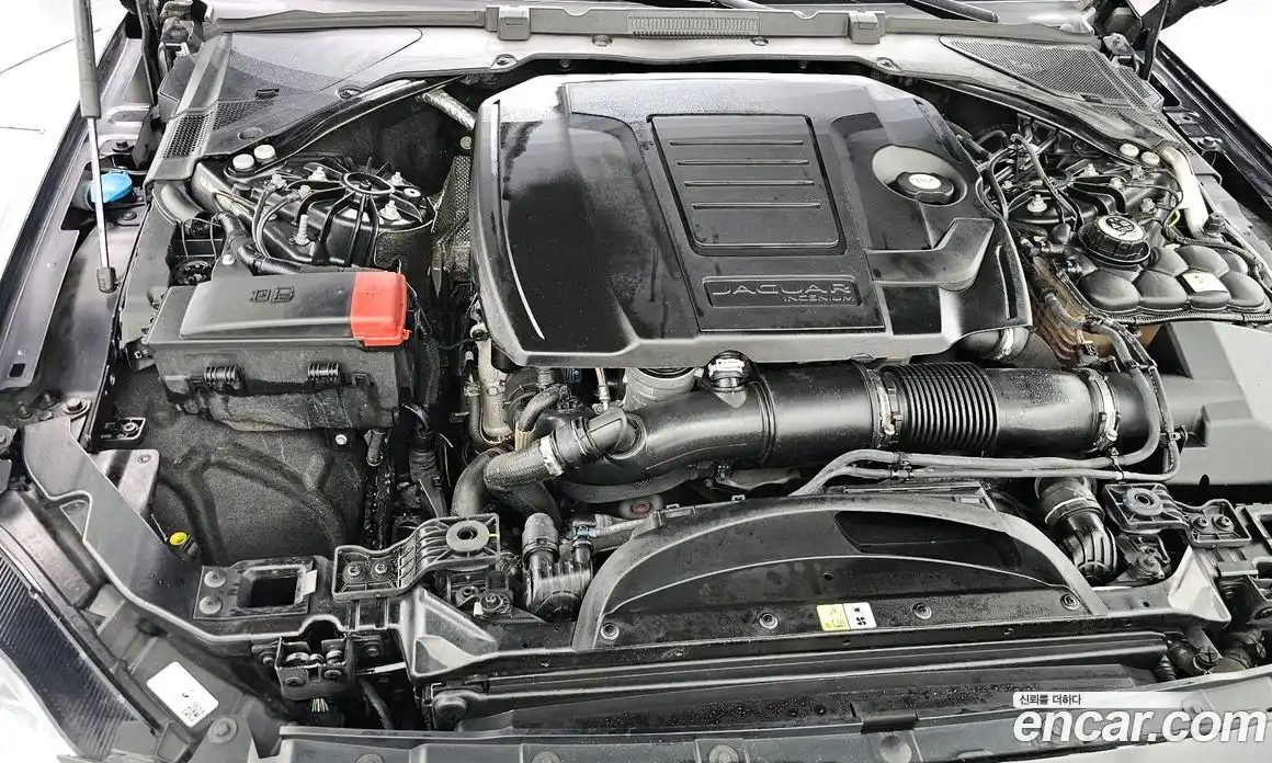 Jaguar XF 2022 2.0 гидро в Москве № 976483, фото 6