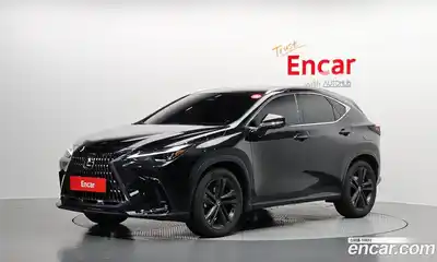 Lexus NX, 2024