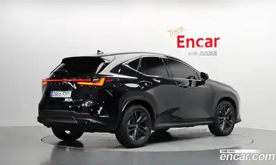 Lexus NX 2024 2.5 гидро в Москве № 167998, миниатюра 2