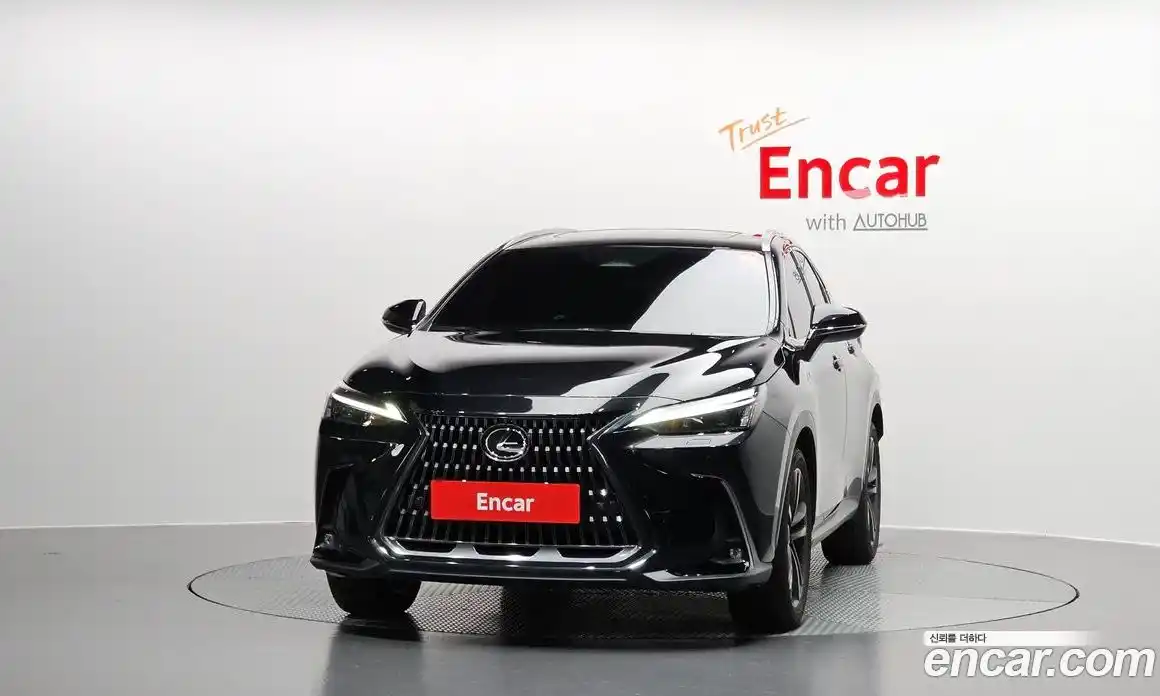Lexus NX 2024 2.5 гидро в Москве № 167998, фото 3