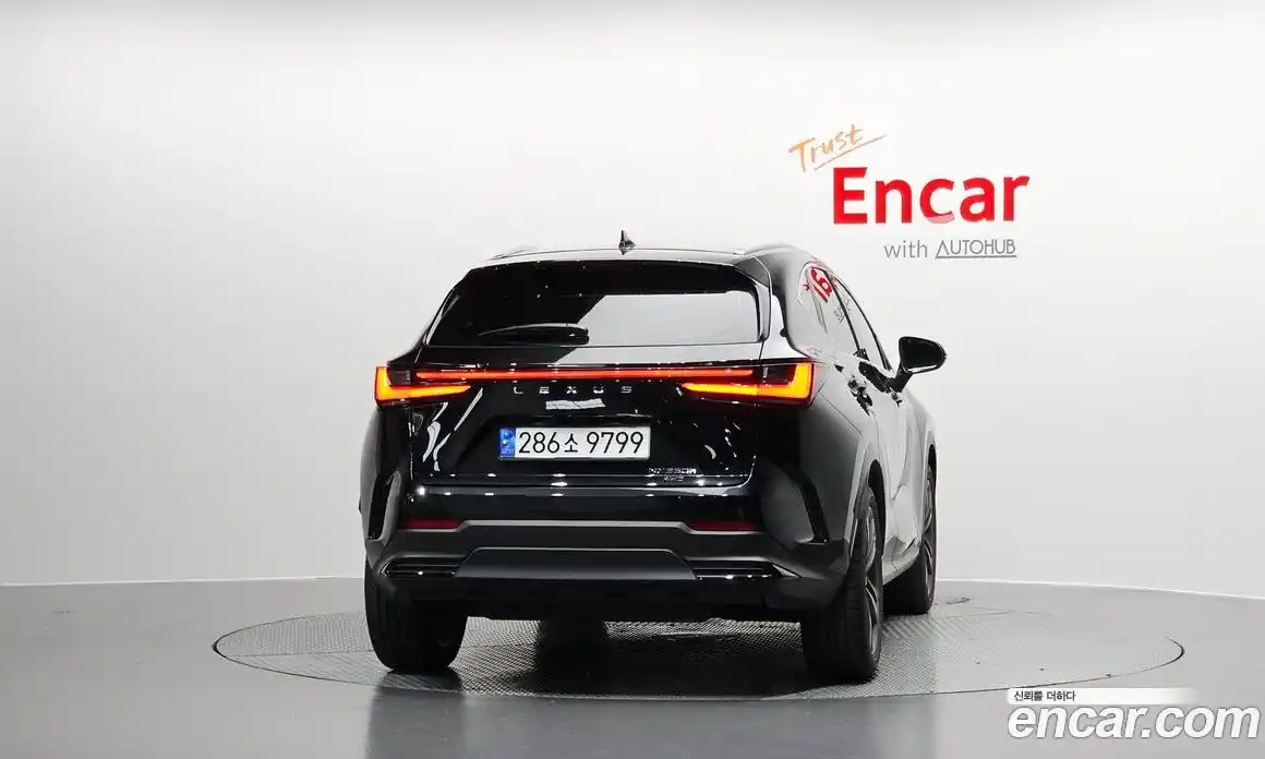 Lexus NX 2024 2.5 гидро в Москве № 167998, фото 4