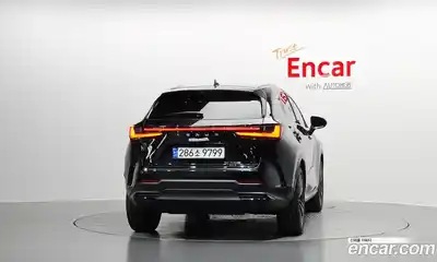 Lexus NX 2024 2.5 гидро в Москве № 167998, миниатюра 4