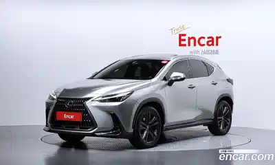 Lexus NX, 2023