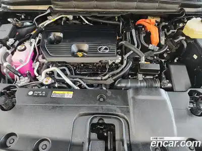 Lexus RX 2025 2.5 вариатор в Москве № 214759, миниатюра 6