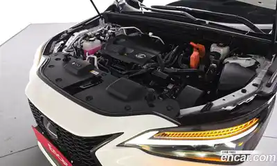 Lexus NX 2023 2.5 гидро в Москве № 275399, миниатюра 5