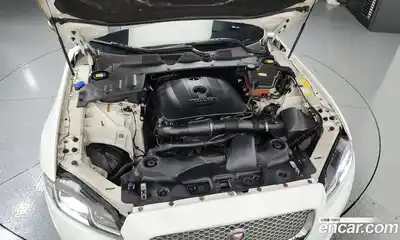 Jaguar XJ 2013 2.0 гидро в Москве № 241330, миниатюра 6