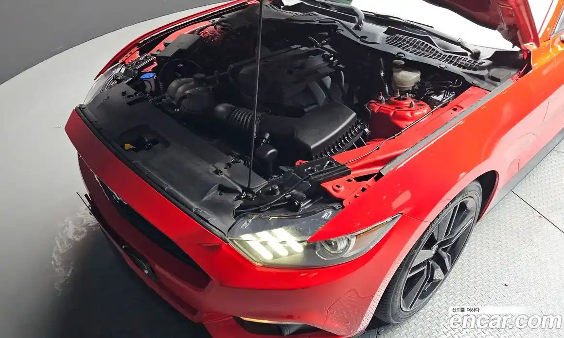 Ford Mustang 2017 2.3 гидро в Москве № 976340, фото 6