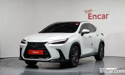 Lexus NX, 2024