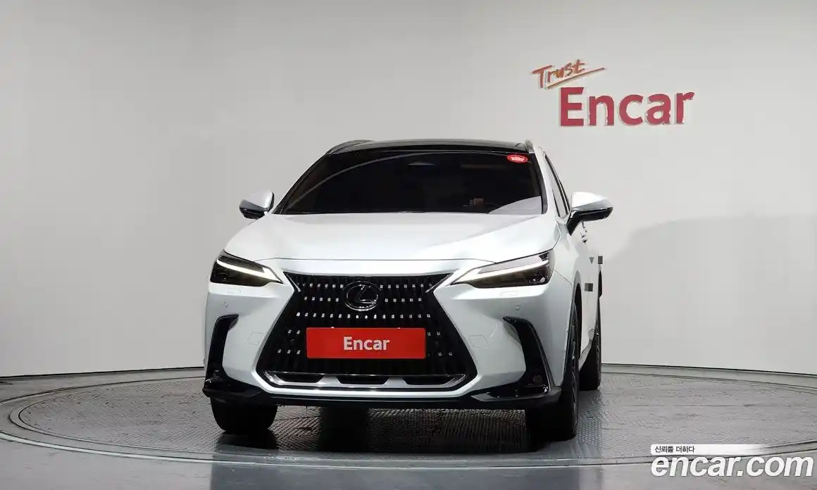 Lexus NX 2024 2.5 гидро в Москве № 167973, фото 3