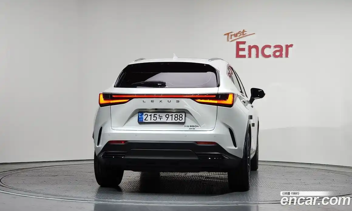 Lexus NX 2024 2.5 гидро в Москве № 167973, фото 4