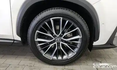 Lexus NX 2024 2.5 гидро в Москве № 167973, миниатюра 5