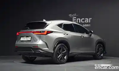 Lexus NX 2023 2.5 гидро в Москве № 168130, миниатюра 2