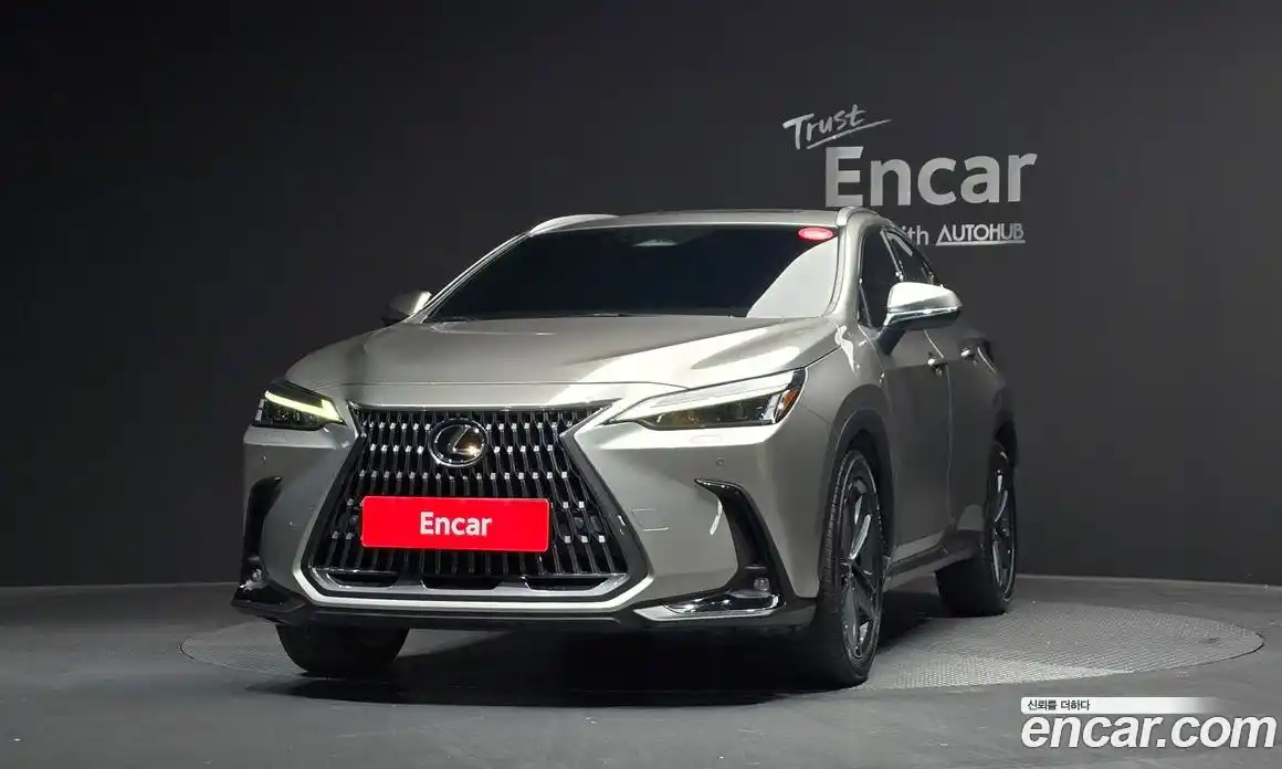 Lexus NX 2023 2.5 гидро в Москве № 168130, фото 3