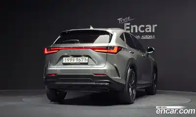 Lexus NX 2023 2.5 гидро в Москве № 168130, миниатюра 4