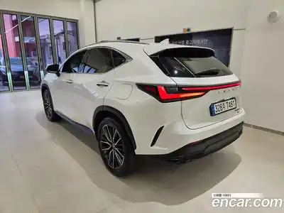 Lexus NX 2023 2.5 вариатор в Москве № 766991, миниатюра 2