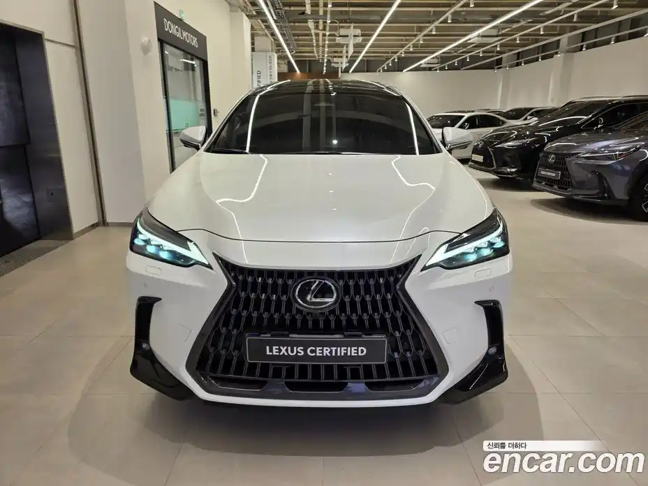 Lexus NX 2023 2.5 вариатор в Москве № 766991, фото 3
