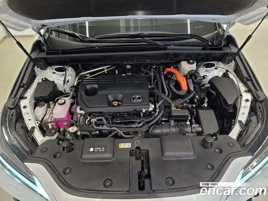 Lexus NX 2023 2.5 вариатор в Москве № 766991, фото 6