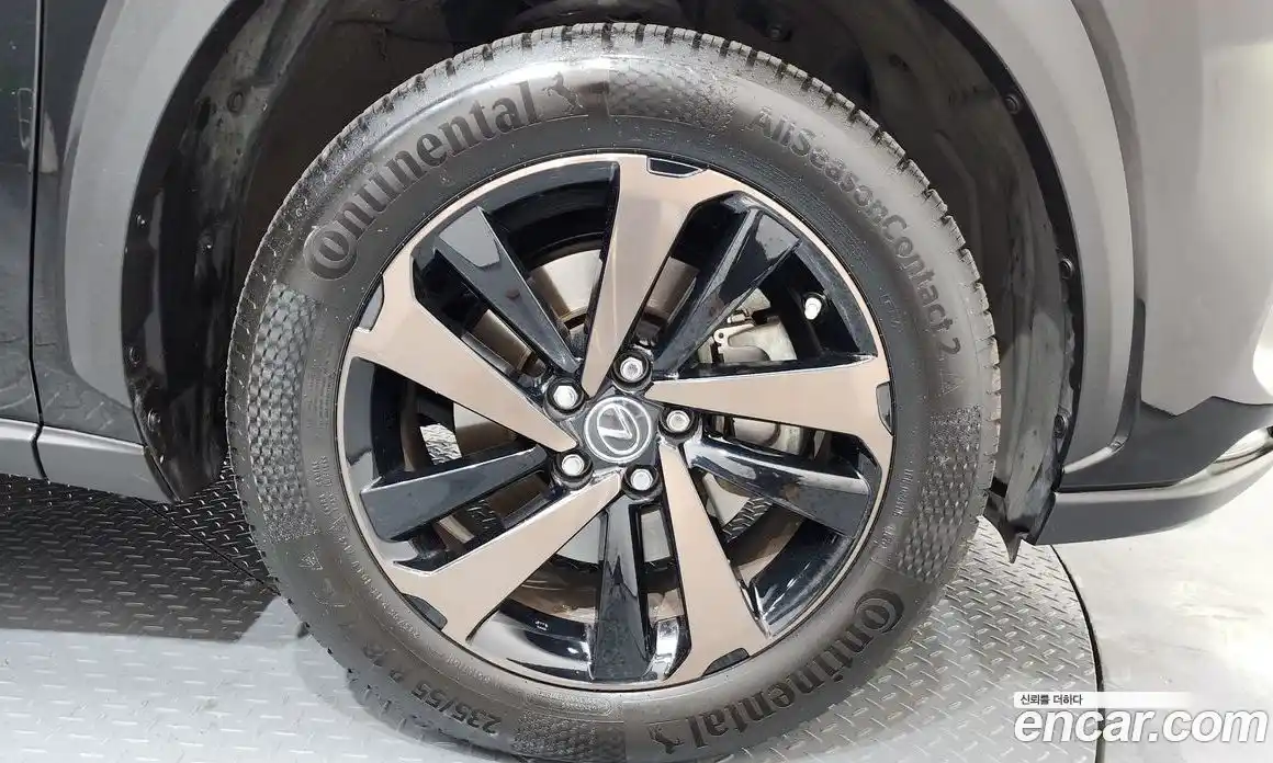 Lexus NX 2019 2.5 гидро в Москве № 272387, фото 5