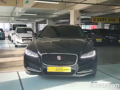 Jaguar XF 2019 2.0 гидро в Москве № 283957, миниатюра 3