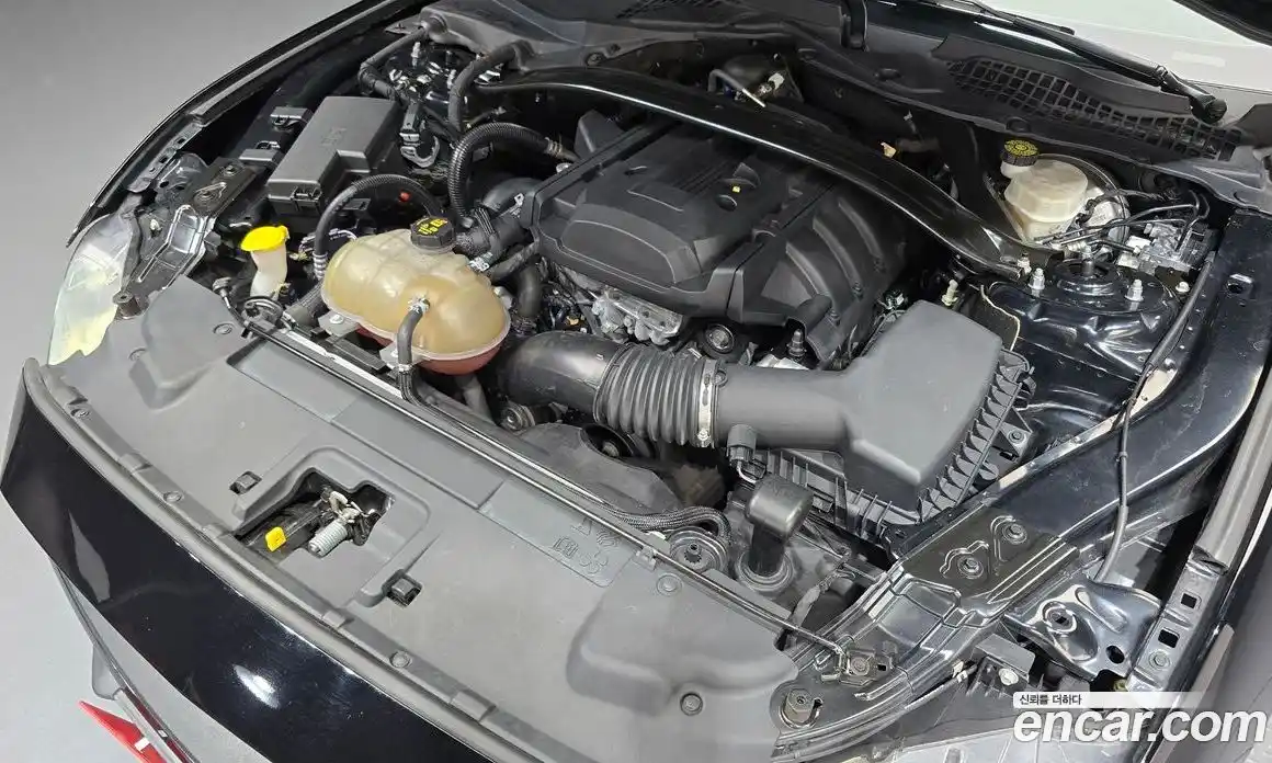 Ford Mustang 2019 2.3 гидро в Москве № 335253, фото 6