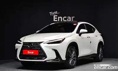 Lexus NX, 2024