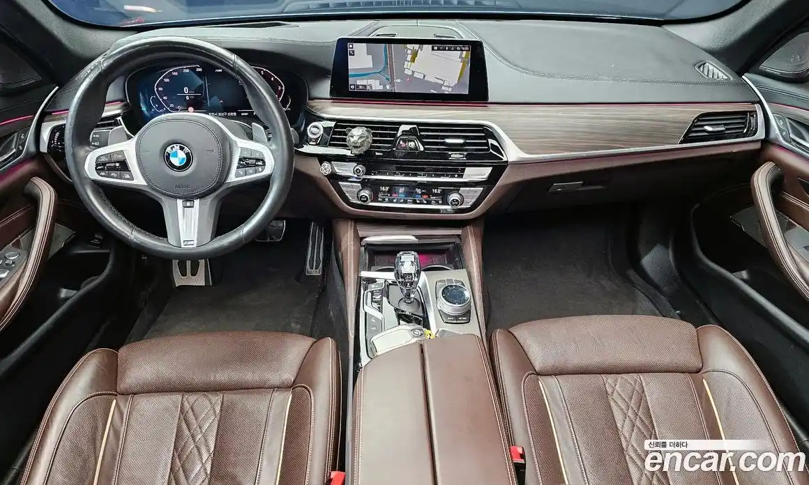 BMW 5-Series 2020 2.0 гидро в Москве, фото 7