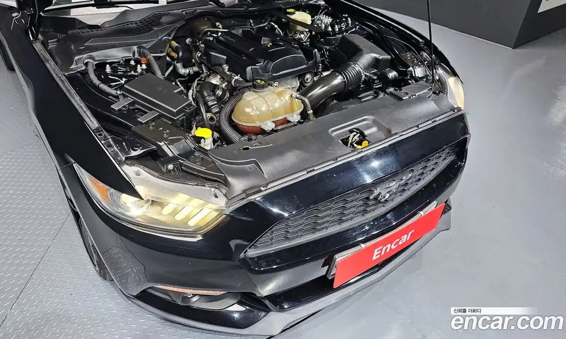 Ford Mustang 2016 2.3 гидро в Москве № 541530, фото 6