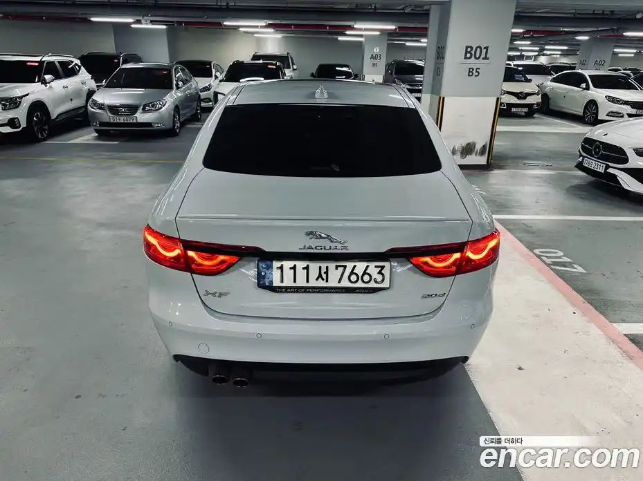 Jaguar XF 2020 2.0 гидро в Москве № 386451, фото 4