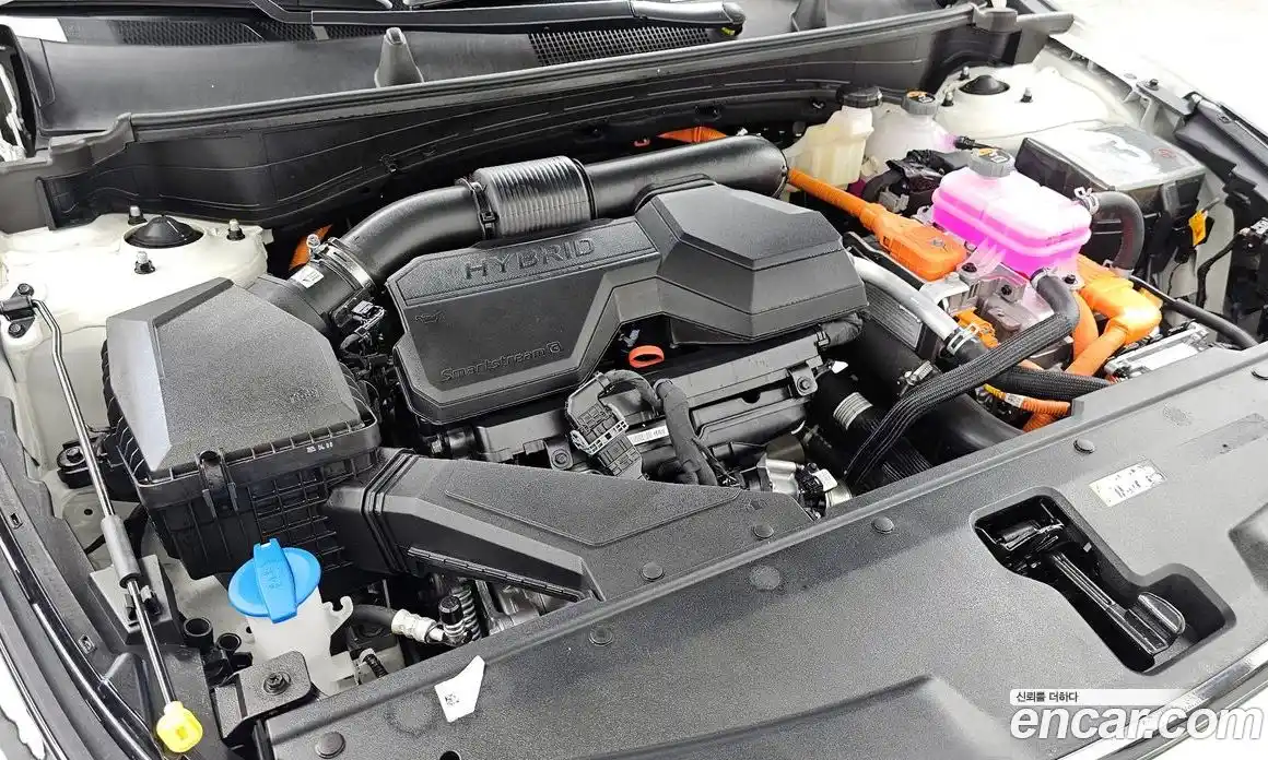 Kia Sportage 2025 1.6 гидро в Москве № 586952, фото 6