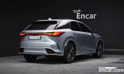Lexus RX 2023 2.4 гидро в Москве № 168103, миниатюра 2
