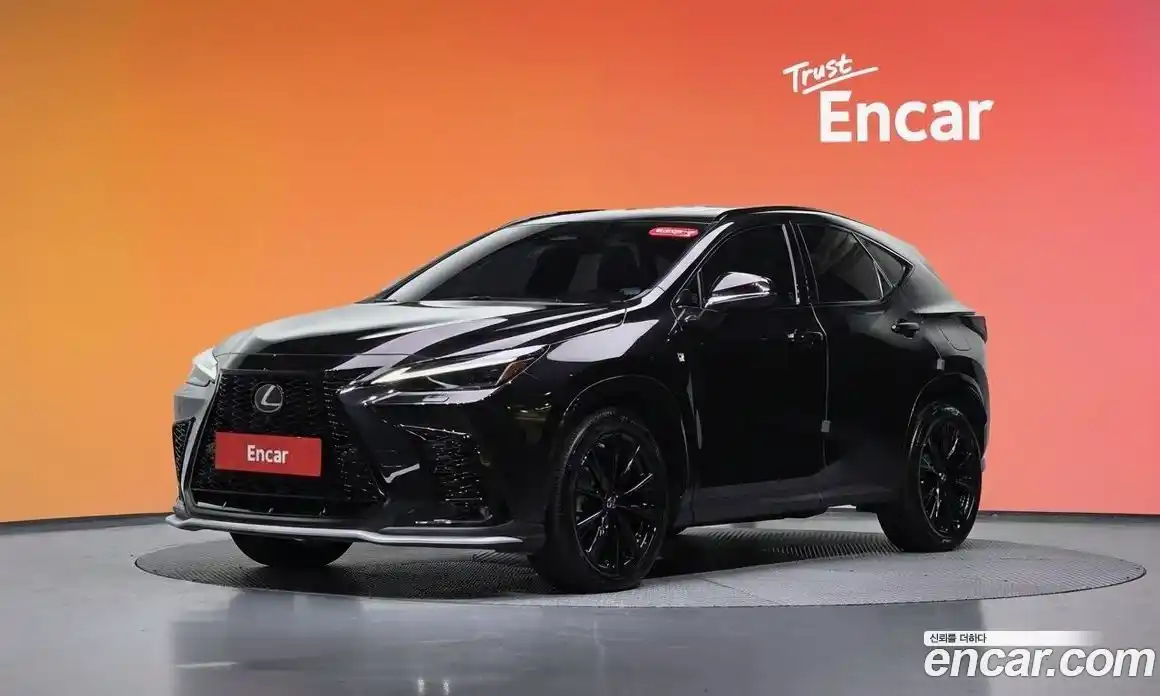 Lexus NX 2023 2.5 гидро в Москве № 1014462, фото 20