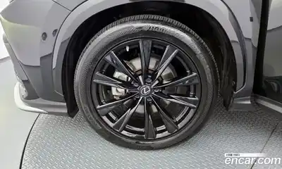 Lexus NX 2023 2.5 гидро в Москве № 1014462, миниатюра 4