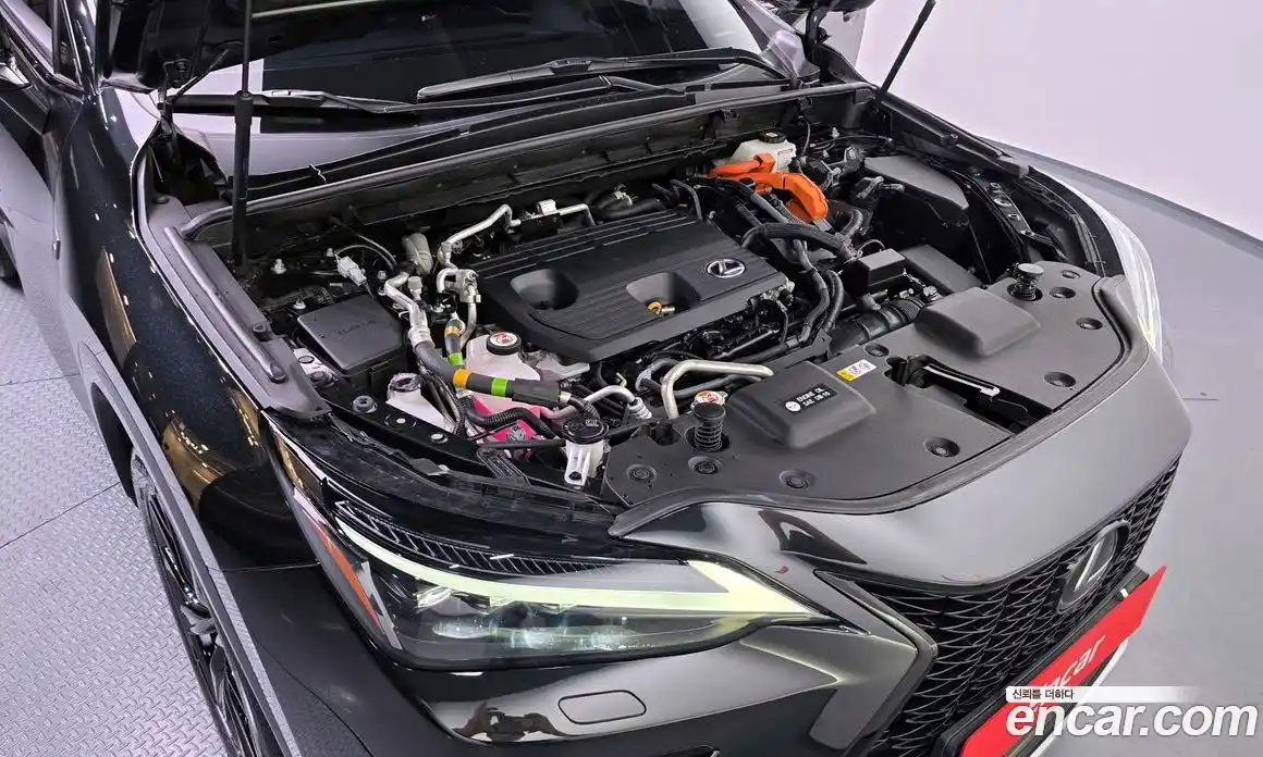 Lexus NX 2023 2.5 гидро в Москве № 1014462, фото 5
