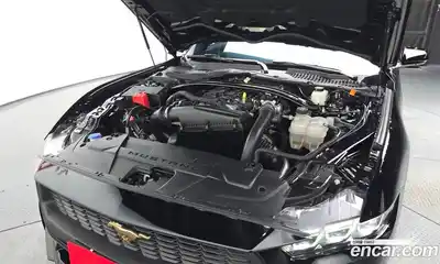 Ford Mustang 2024 2.3 гидро в Москве № 1015453, миниатюра 5