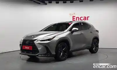 Lexus NX, 2024