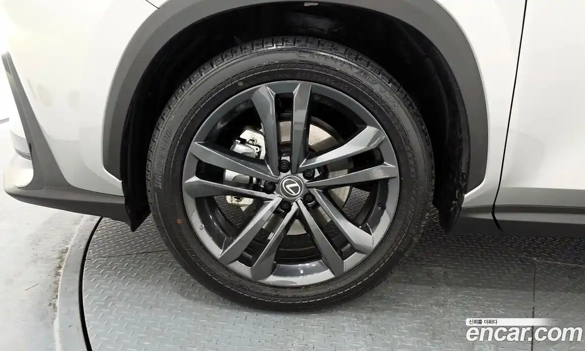 Lexus NX 2024 2.5 гидро в Москве № 167988, фото 5