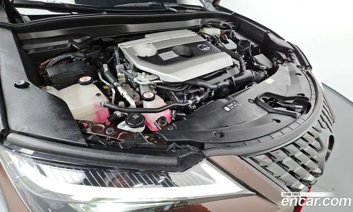 Lexus UX 2019 2.0 гидро в Москве № 168075, фото 6